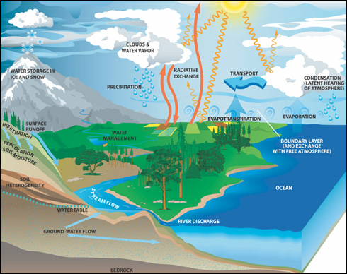 How Water Cycle Affects Weather Patterns 65